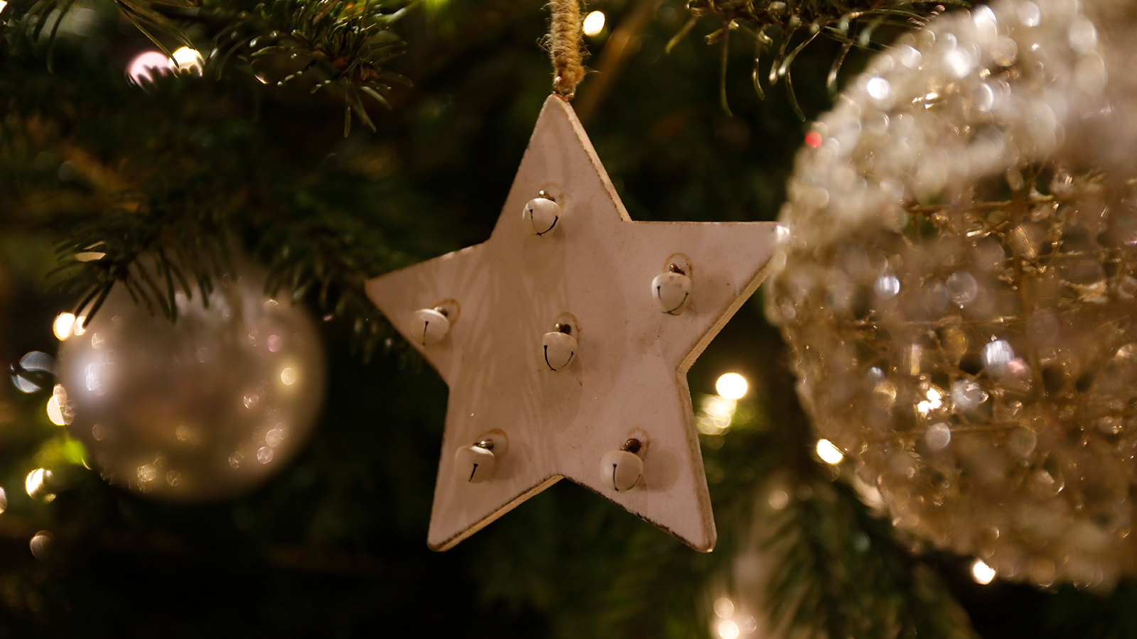Star and bauble on parliament Christmas tree