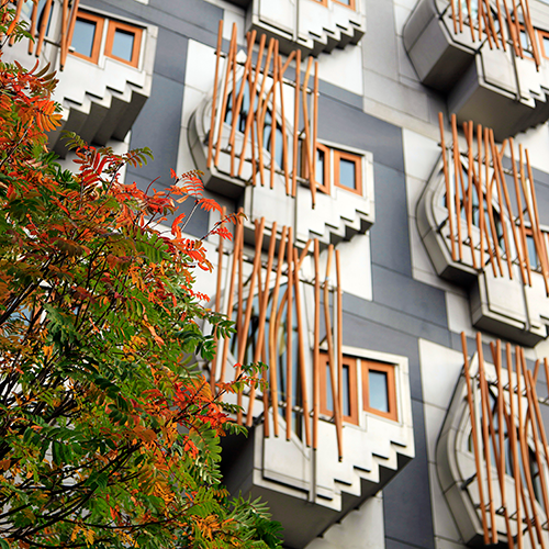 Windows in the MSP block at the Scottish Parliament with tree in foreground