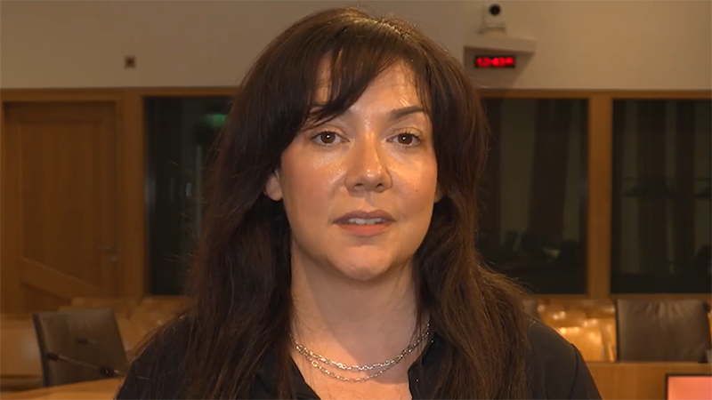 Dr Clementine Hill O’Connor, Research Fellow, University of Glasgow, speaking in a committee room at the Scottish Parliament