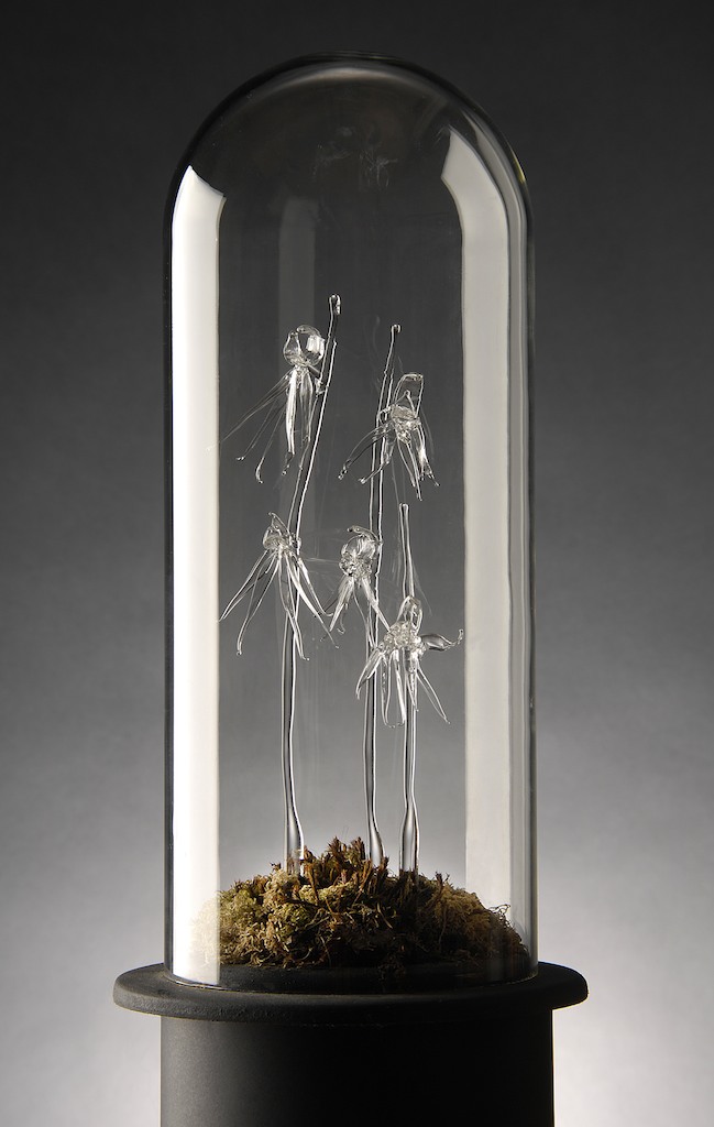 Glass wildflowers under a glass dome.