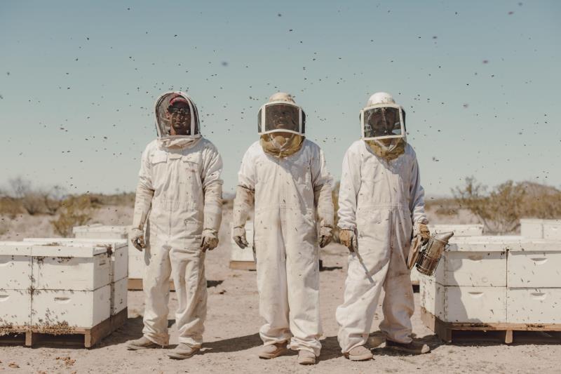Alfredo, Ubaldo, and José tend beehives near Wenden in the Arizona desert, United States, on 11 March 2022.