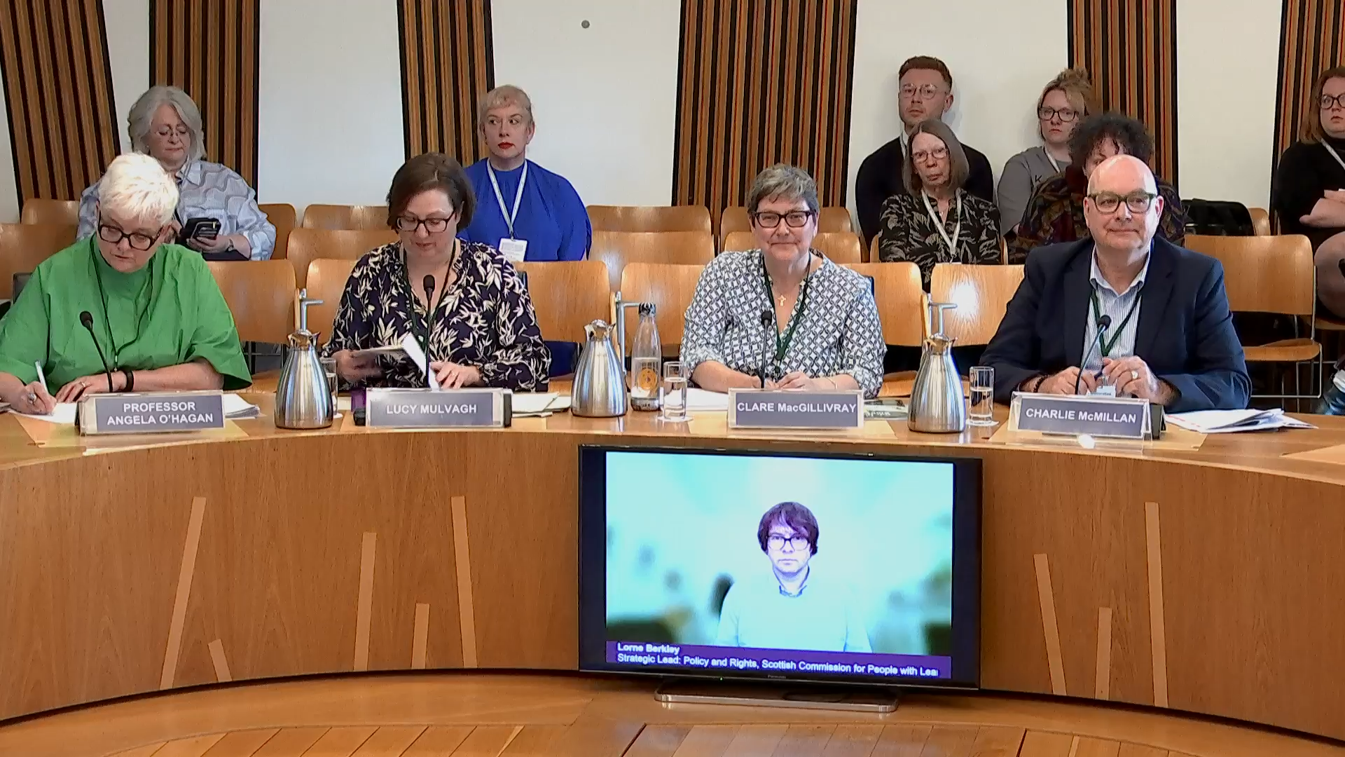 Photo of witness panel on 29 April 2025