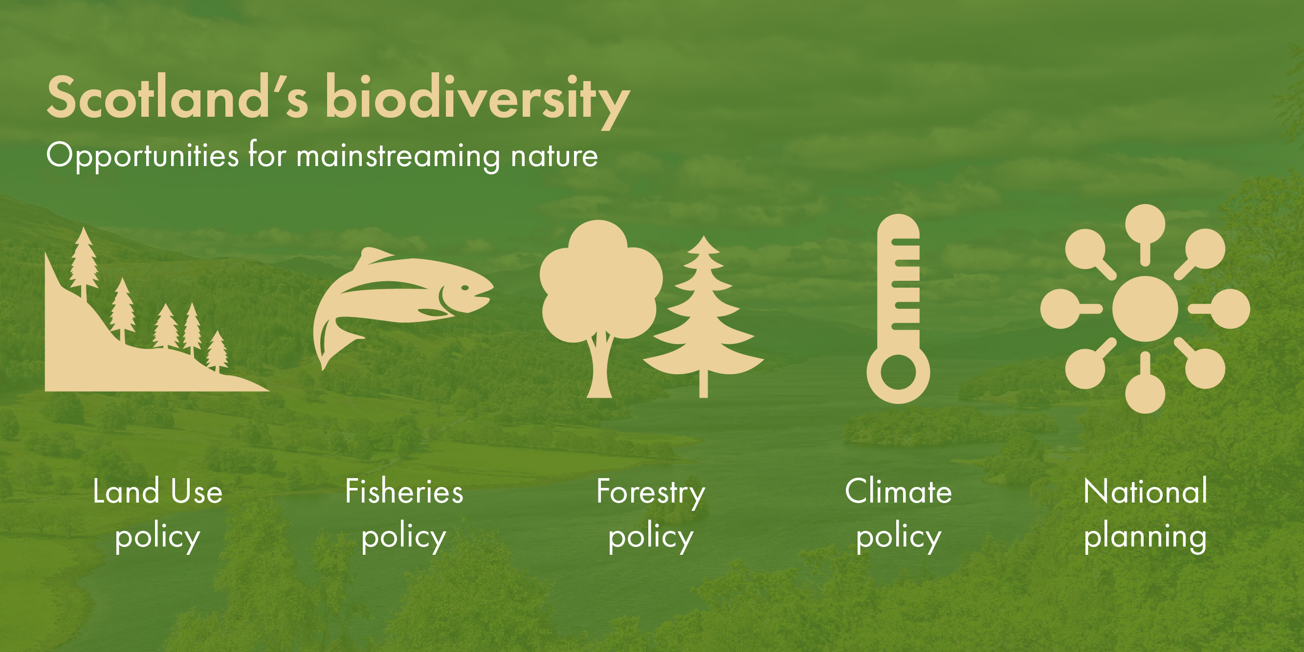 Policy areas for biodiversity mainstreaming in Scotland: rural policy, fisheries, forestry policy, climate policy, national planning.