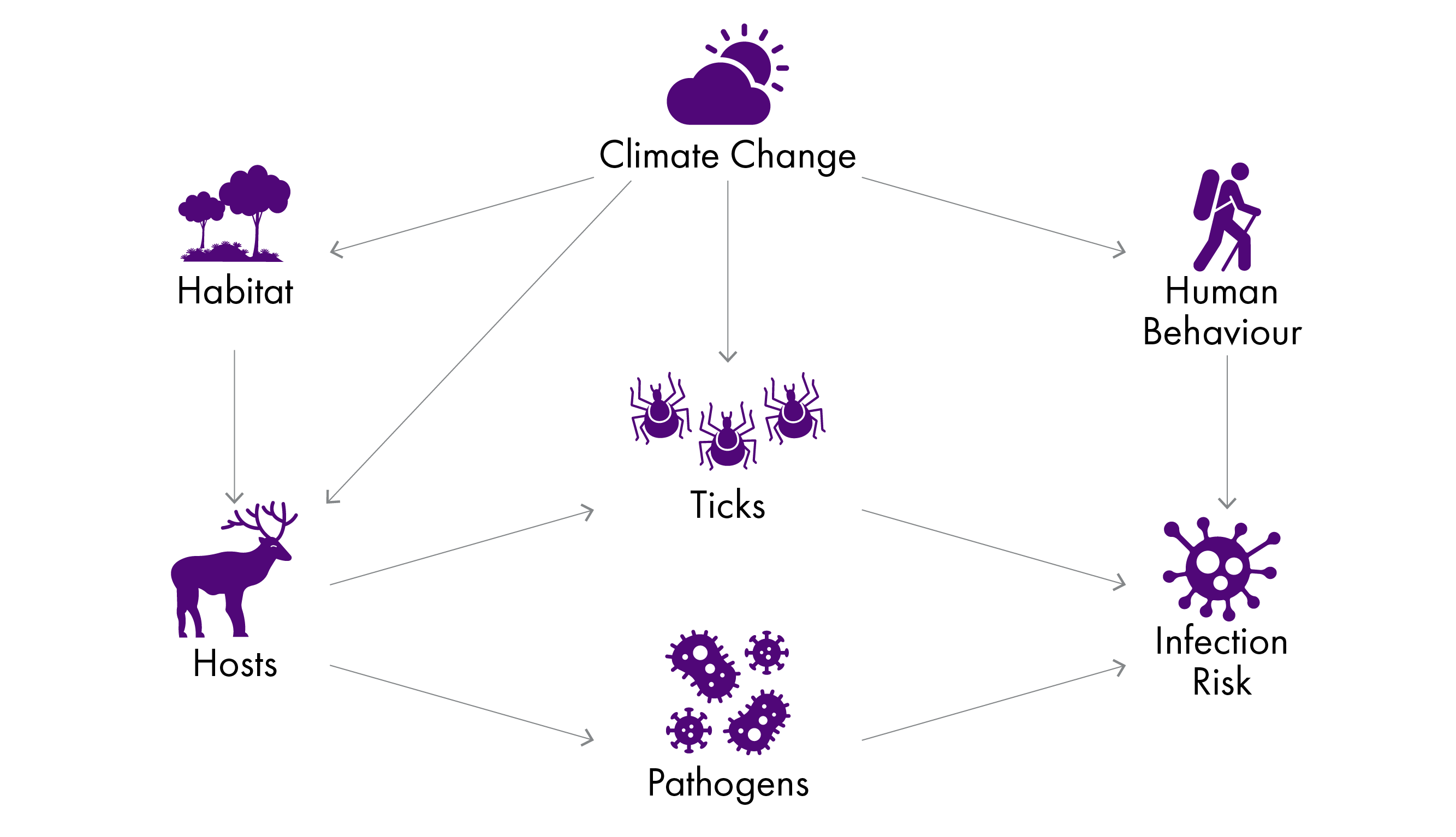 image showing relationship between climate change and vector borne diseases