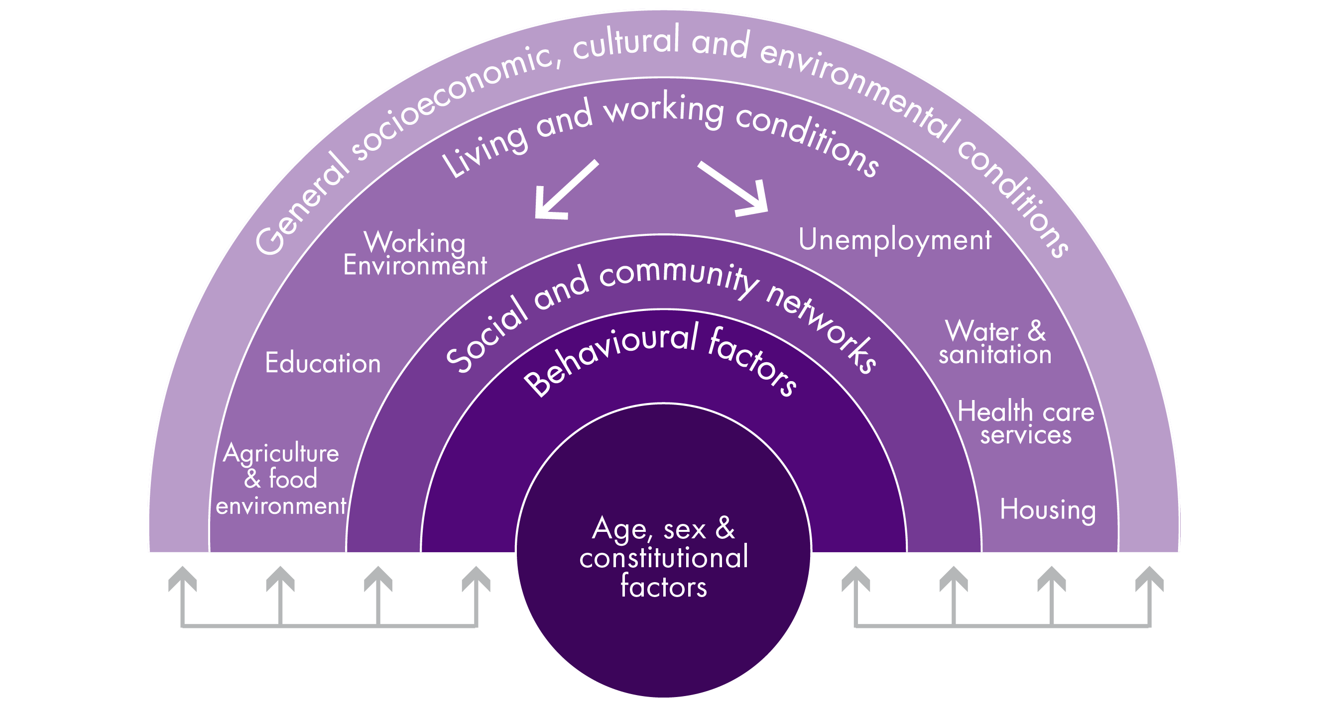 A figure reproduced from The Health Foundation's report, showing factors which influence an individual's health and wellbeing. At the core is age, sex, and constitutional factors. Outside is behaviour, then social and community networks. Outside these are living and working condition, and the outermost layer shows the general socio-economic, cultural and environmental conditions that the person lives in.